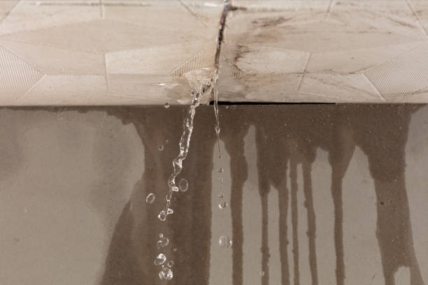 Professional Burst Pipe Cleanup technician working in Edwardsville, PA
